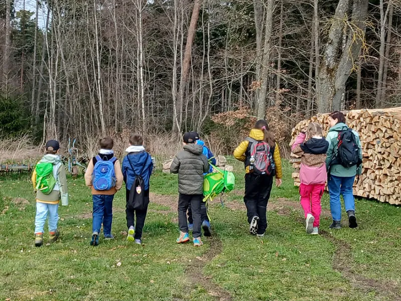 Ein von hinten fotografiertes Bild: Gabi macht sich mit einer Gruppe Kinder auf in den Wald. Alle tragen Outdoor-Kleidung.