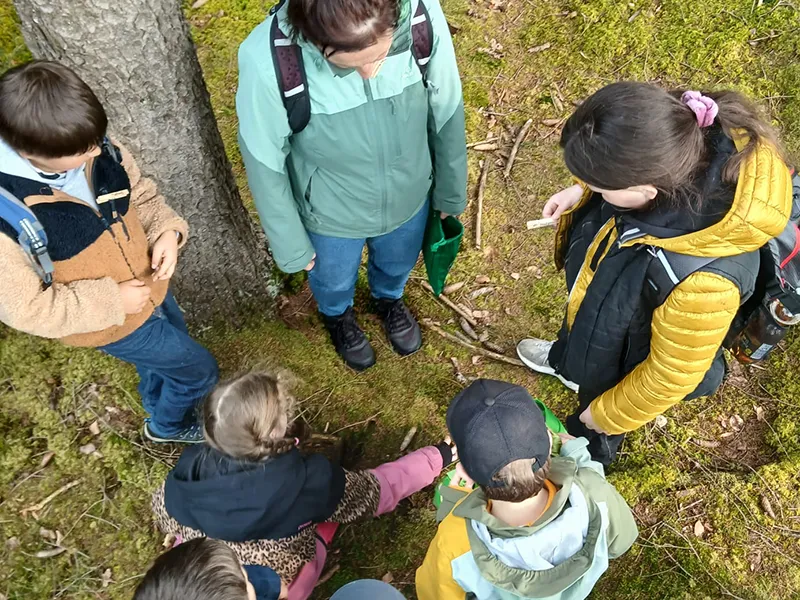 Ein von oben fotografiertes Bild: Gabi steht mit vier Kindern im Grundschulaltern im Wald, sie schauen auf einen kleinen Haufen Zapfen. Alle tragen Outdoor-Kleidung.