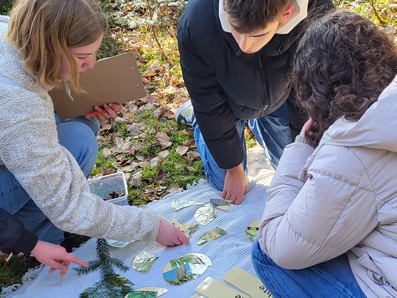 opt uebermich waldpaed