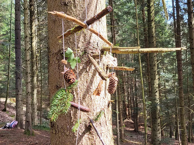 Ein Mobile aus Stöcken, Blättern und Zapfen hängen an einem Baum im Wald
